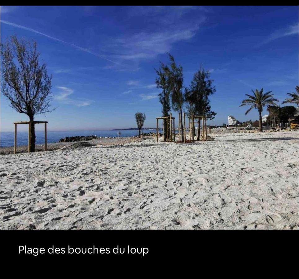 Loft Marina Direct Plage Apartment Villeneuve-Loubet Exterior foto