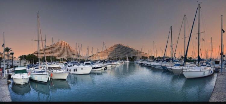 Loft Marina Direct Plage Apartment Villeneuve-Loubet Exterior foto